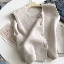 画像をギャラリービューアに読み込む, 栗拾いに行くって言って行かなかった日のニットベスト_K0202